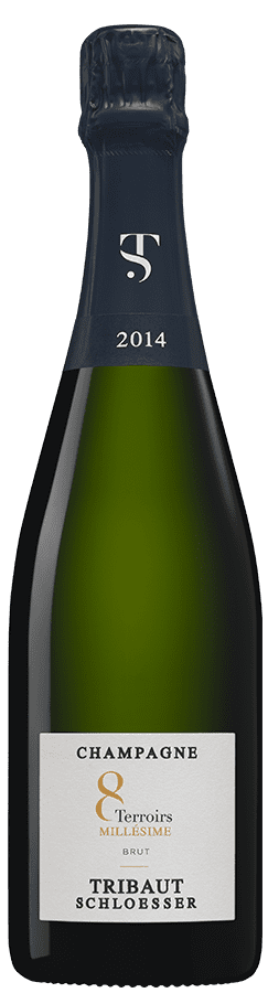 Tribaut Le Millésime Vintage Champagne